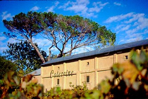 Coleraine winery Paarl   South Africa