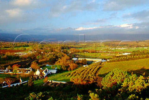 View over winery and vineyards of   Morgenster Estate Helderberg   Stellenbosch South Africa