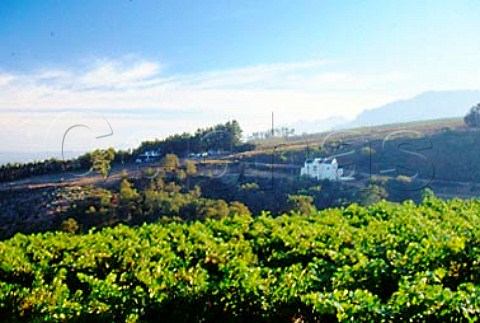 Vineyard and winery of Cordoba   Helderberg South Africa   Stellenbosch