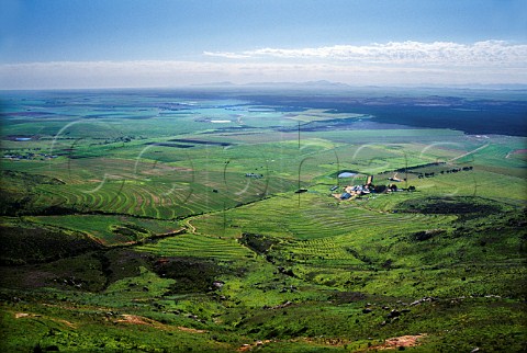 View over vineyards of Groene Cloof   estate Swartland South Africa