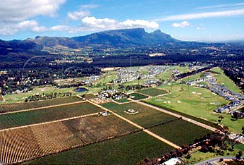 Aerial view of Steenberg vineyards   Constantia South Africa