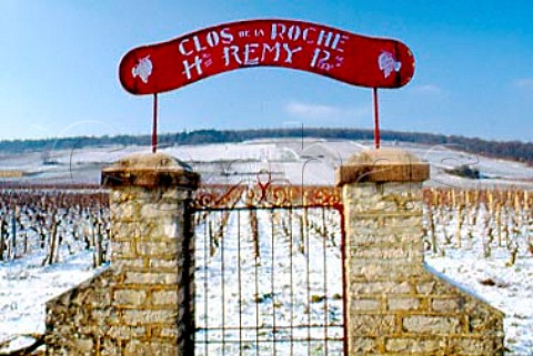 Entrance gate of Henri Remy in the wall   of Clos de la Roche vineyard   MoreyStDenis Cte dOr France      Cte de Nuits
