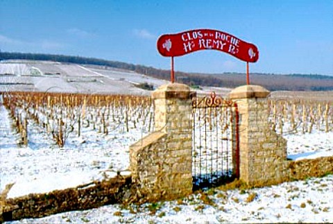 Entrance gate of Henri Remy in the wall   of Clos de la Roche vineyard   MoreyStDenis Cte dOr France      Cte de Nuits