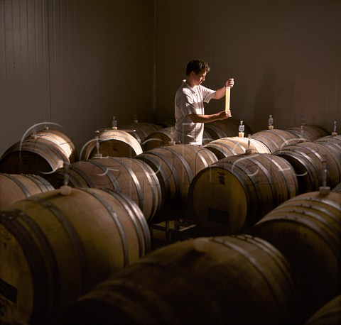 Mike Brown winemaker in barrel cellar of   Waimea Estates Nelson New Zealand      Nelson