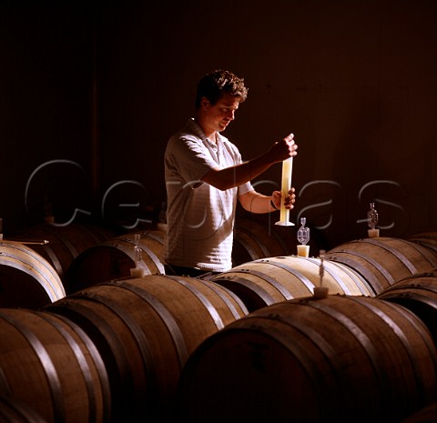 Mike Brown winemaker measuring specific gravity of fermenting wine in the barrel cellar of Waimea Estates Nelson New Zealand      Nelson