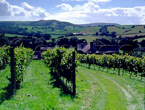 Brecon Court Vineyard Llansoy Gwent Wales