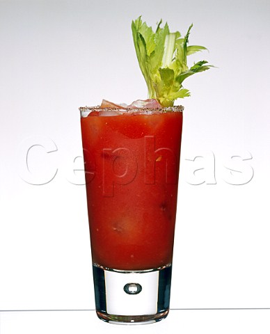 Cocktail Bloody Mary  Glass Highball