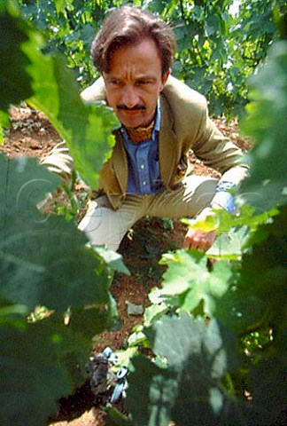 Stephan von Neipperg in vineyard of   Chteau dAiguilhe Gironde France   Ctes de Castillon  Bordeaux