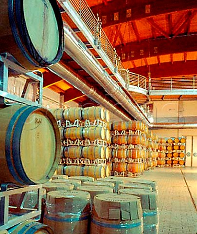 Interior of Terre da Vino winery Barolo Piemonte   Italy