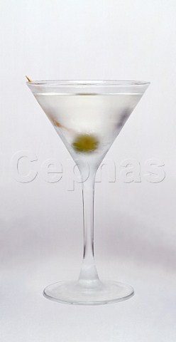 Cocktail Frozen Dry Martini   Glass Martini