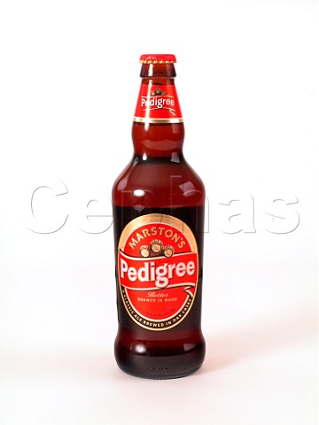 Bottle of Marstons Pedigree ale  BurtononTrent   England