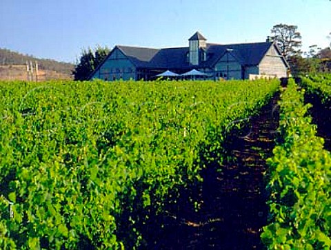 Visitor centre in the Richmond Estate vineyard of   Meadowbank Estate near Cambridge Tasmania   Australia   Coal River