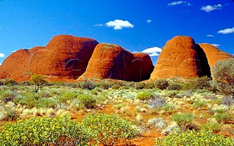 Kata Tjuta The Olgas Uluru  KataTjuta National   Park Northern Territory Australia