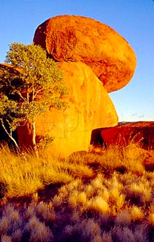 The Devils Marbles at sunrise  Northern Territory Australia