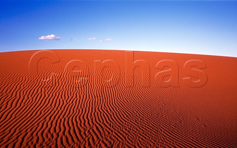 Red sand dune Innaminka Regional Reserve   South Australia