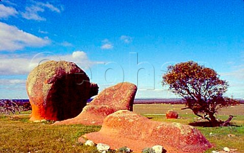 Murphys Haystacks Eyre Peninsula    South Australia