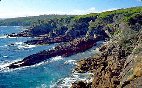 Worang Point Ben Boyd National Park   New South Wales Australia