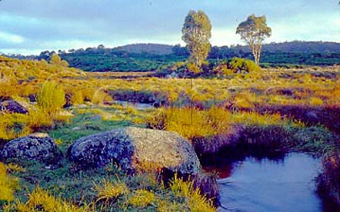 Junction Pools Barrington Tops National Park   New South Wales  Australia