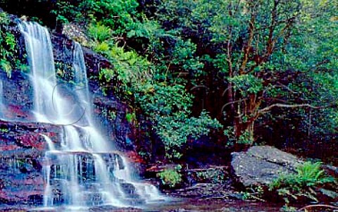 Katoomba Falls Blue Mountains National Park   New South Wales   Australia