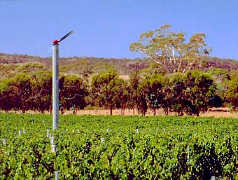 Wind machine in Spring Vale Vineyard near   Cranbrook Tasmania Australia   East Coast