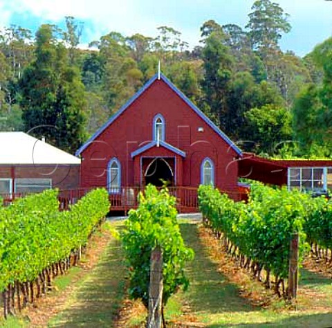 Vineyard and cellar door sales outlet of   St Matthias owned by Moorilla Estate    Rosevears Tasmania Australia Tamar Valley
