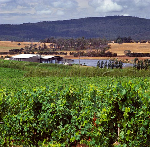 Tamar Ridge vineyard and winery Kayena   Tasmania Australia    Tamar Valley