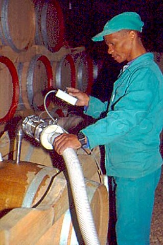 Awie Adolf winemaker in the barrel   cellar of Fair Valley Winery  Paarl South Africa