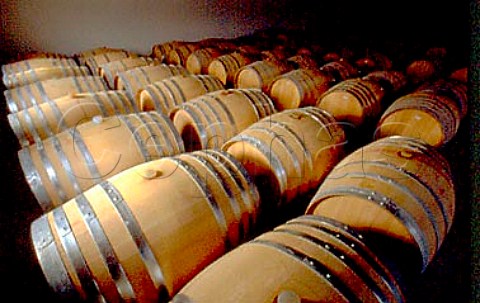Barrique cellar at Weingut Paul   Kerschbaum Horitschon Burgenland   Austria Sdburgenland