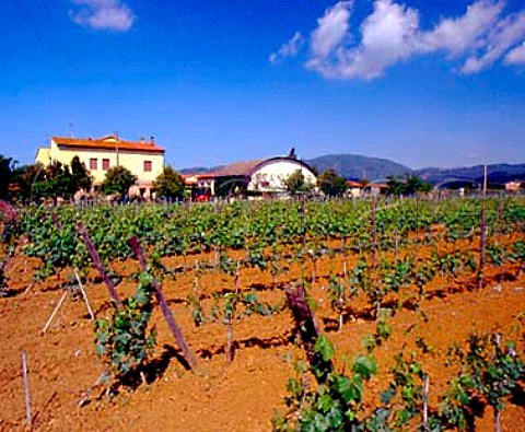 Gualdo del Re winery and vineyard   Suvereto Tuscany Italy   Val di Cornia