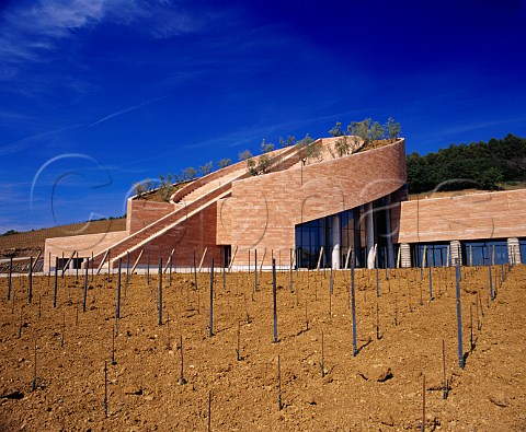 New Petra winery and vineyard at San Lorenzo   near Suvereto Tuscany Italy     Val di Cornia