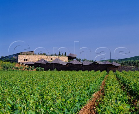 CaMarcanda viewed from its vineyard   Bolgheri Tuscany Italy   Bolgheri