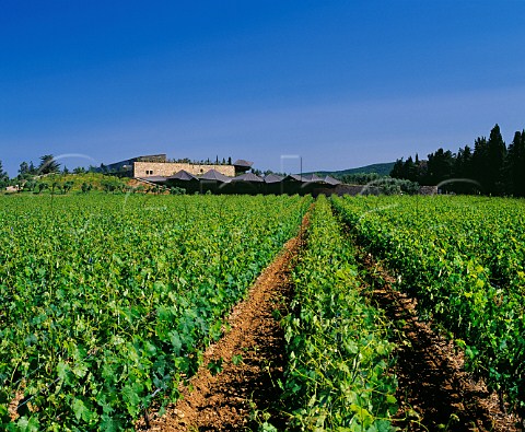 CaMarcanda winery viewed from its vineyard Bolgheri Tuscany Italy   Bolgheri