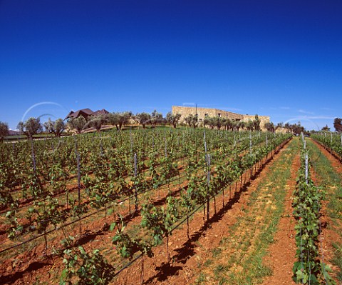 CaMarcanda viewed from its vineyard   Bolgheri Tuscany Italy   Bolgheri