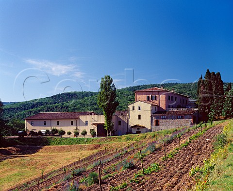 Casale del Bosco of Silvio Nardi Castiglion del Bosco Tuscany Italy     Brunello di Montalcino