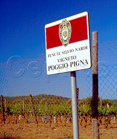 Sign for Vigneto Poggio Pigna of Silvio Nardi at   Casale del Bosco near Castiglion del Bosco   Tuscany Italy      Brunello di Montalcino