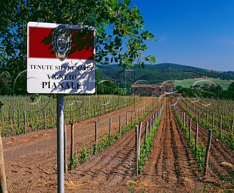 Sign in Vigneto Pianale of Silvio Nardi   Casale del Bosco near Castiglion del Bosco Tuscany Italy Brunello di Montalcino