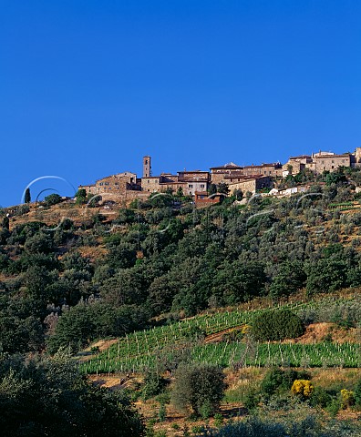 Vineyards below the hilltop town of Castelnuovo dellAbate Tuscany Italy Brunello di Montalcino