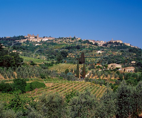 Vineyards below the hilltop town of Montalcino Tuscany Italy Brunello di Montalcino