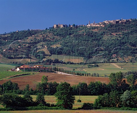 Val di Suga winery and vineyards below the hilltop town of Montalcino Tuscany Italy   Brunello di Montalcino