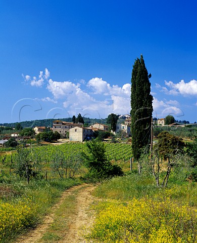 Track leading to vineyard of Badia a Coltibuono Monti in Chianti Tuscany Italy Chianti Classico