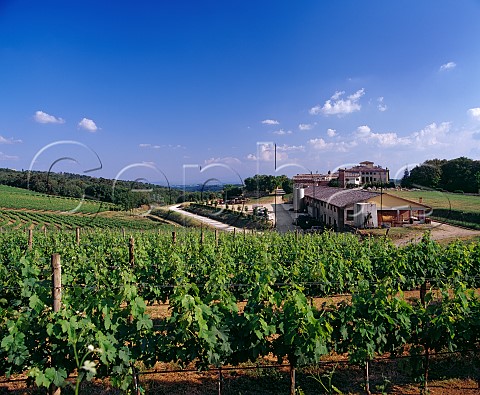 Winery and vineyard of Tenuta di Arceno Castelnuovo Berardenga Tuscany Italy Chianti Classico