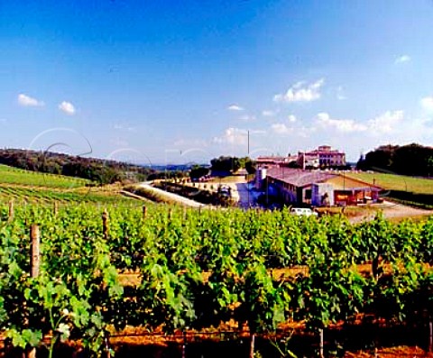 Winery of Villa Arceno viewed over vineyard Tenuta di Arceno near Castelnuovo Berardenga   Tuscany Italy          Chianti Classico