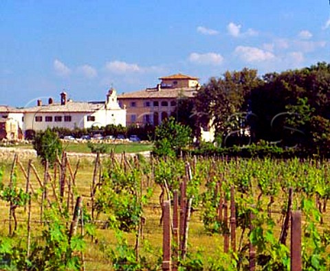 Winery of Villa Arceno viewed over vineyard   Tenuta di Arceno near Castelnuovo Berardenga   Tuscany Italy          Chianti Classico