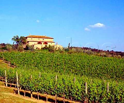 Vineyards of Villa Arceno Tenuta di Arceno   near Castelnuovo Berardenga Tuscany Italy           Chianti Classico