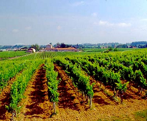 Chteau Sociondo seen across its vineyards Blaye   Gironde France    Premires Ctes de Blaye  Bordeaux