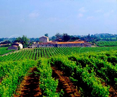 Chteau Sociondo seen across its vineyards Blaye   Gironde France   Premires Ctes de Blaye  Bordeaux