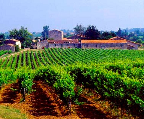 Chteau Sociondo seen across its vineyards Blaye   Gironde France  Premires Ctes de Blaye
