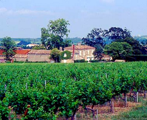 Chteau lEscadre seen across its vineyards Cars   Gironde France    Premires Ctes de Blaye  Bordeaux