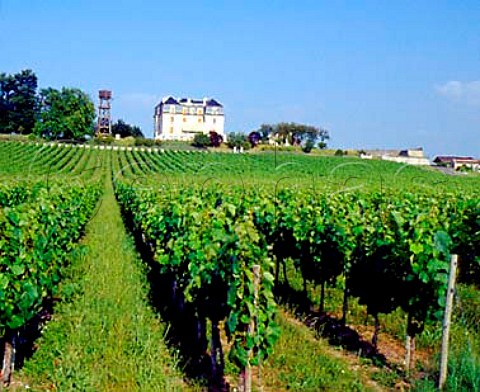 Chteau Segonzac and its vineyards   StGenesdeBlaye Gironde France    Premires Ctes de Blaye  Bordeaux