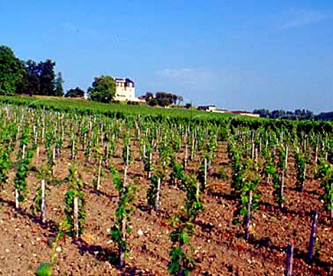Chteau Segonzac and its vineyards   StGenesdeBlaye Gironde France    Premires Ctes de Blaye  Bordeaux